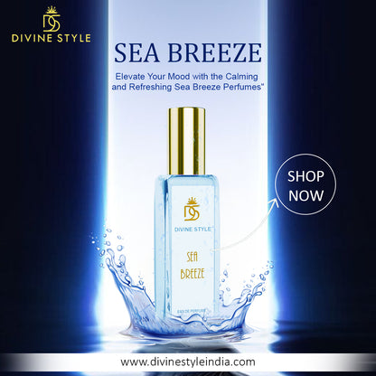 Divine Style Premium Perfume Set (3 x 20Ml)